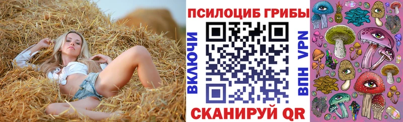 хочу   Ардон  Галлюциногенные грибы Cubensis 